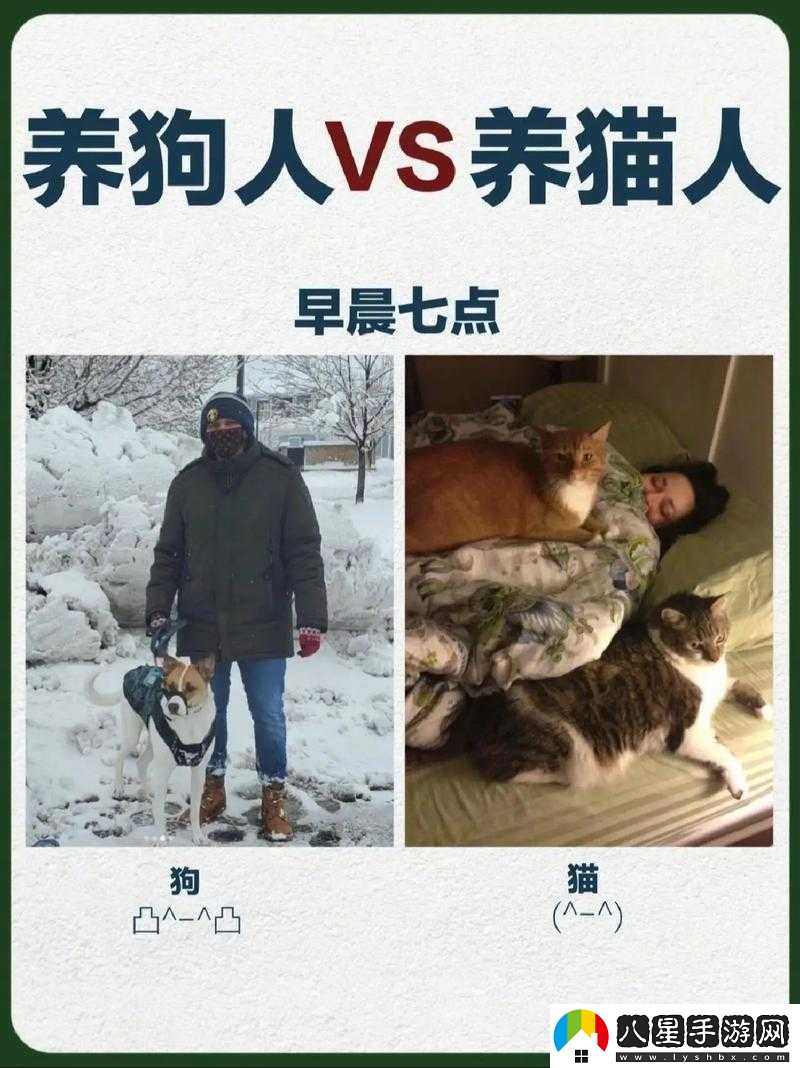 人狗膠配方大全