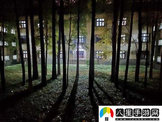 學(xué)校后山小樹林夏天晚上的美好時光