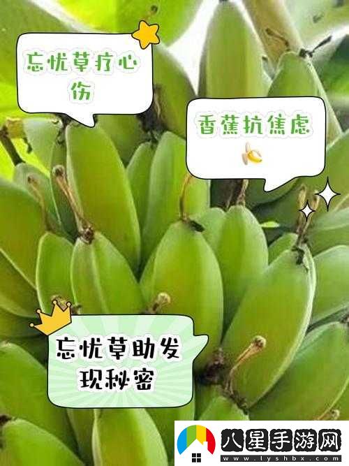 香蕉和忘憂草對焦慮的影響