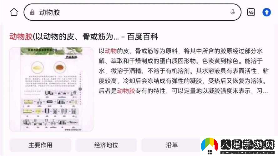 動(dòng)物膠配方整個(gè)過程解析