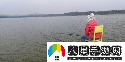 夢想家園釣魚技巧分享