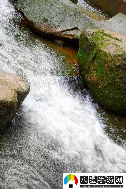 黃龍直搗溪水潺潺