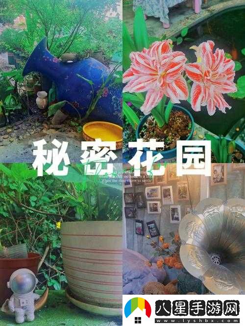 大手往哪秘密花園探去