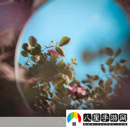 對鏡子看我們的結合處1.鏡中映照