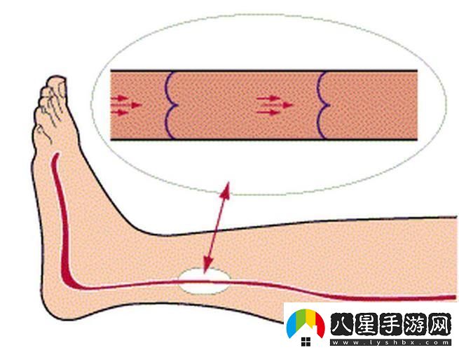 科技狂潮里的**秘籍