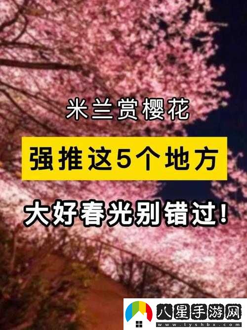 我們換個(gè)地方做櫻花是什么歌