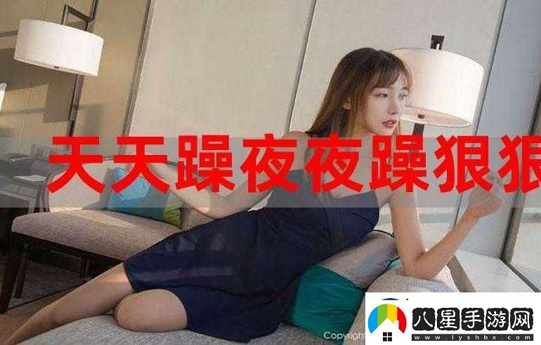 天天躁夜夜躁狠狠