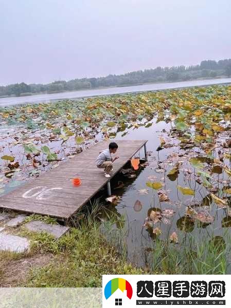 揭秘99無人區(qū)碼一碼二碼三1080p不再是夢