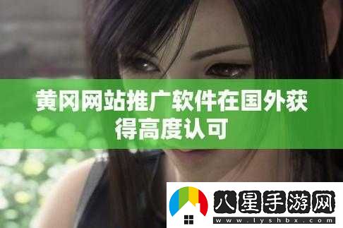 國(guó)外黃岡站推廣在國(guó)際上叫什么之探討