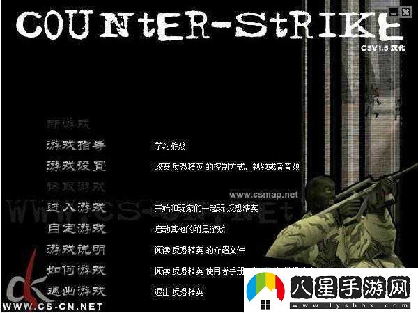 暴躁老阿姨CSGO