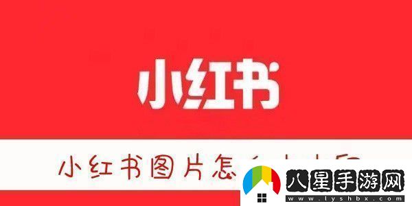 小紅書圖片無水印保存方法