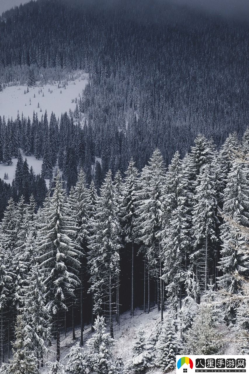 逆水寒雪河