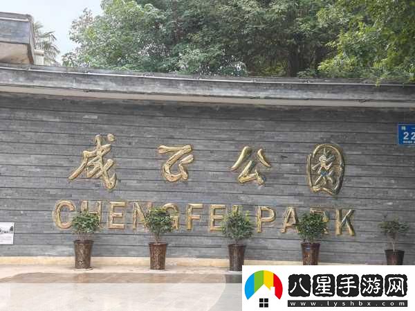 雙劍合璧