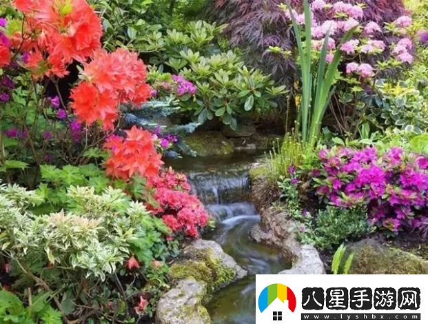 小寶探花一場(chǎng)融合科學(xué)探究和自然美學(xué)的獨(dú)特花卉世界之旅