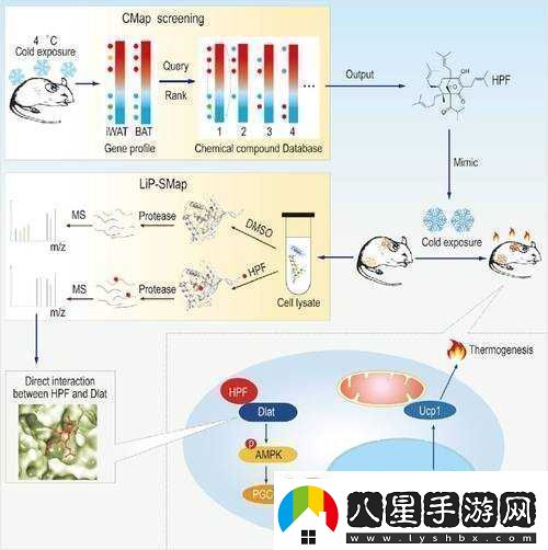 英雄之戰(zhàn)攻略養(yǎng)成篇