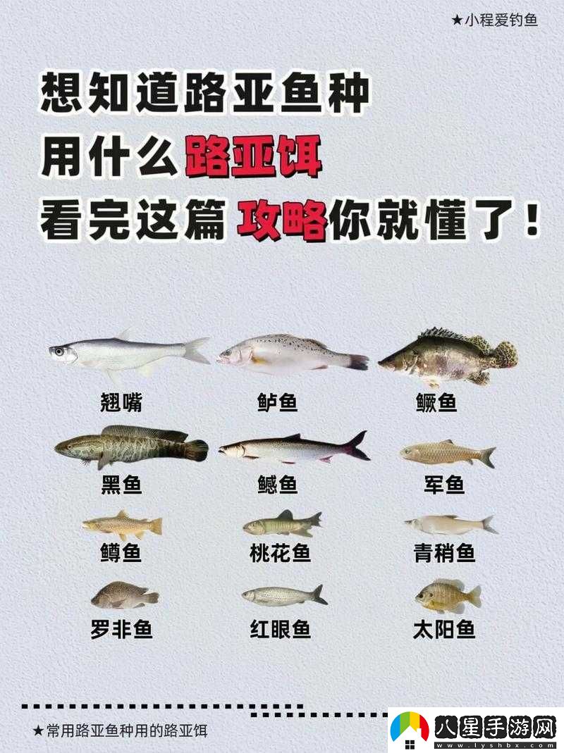 荒野大鏢客2傳說紅鮭魚地圖分布及釣魚攻略詳解