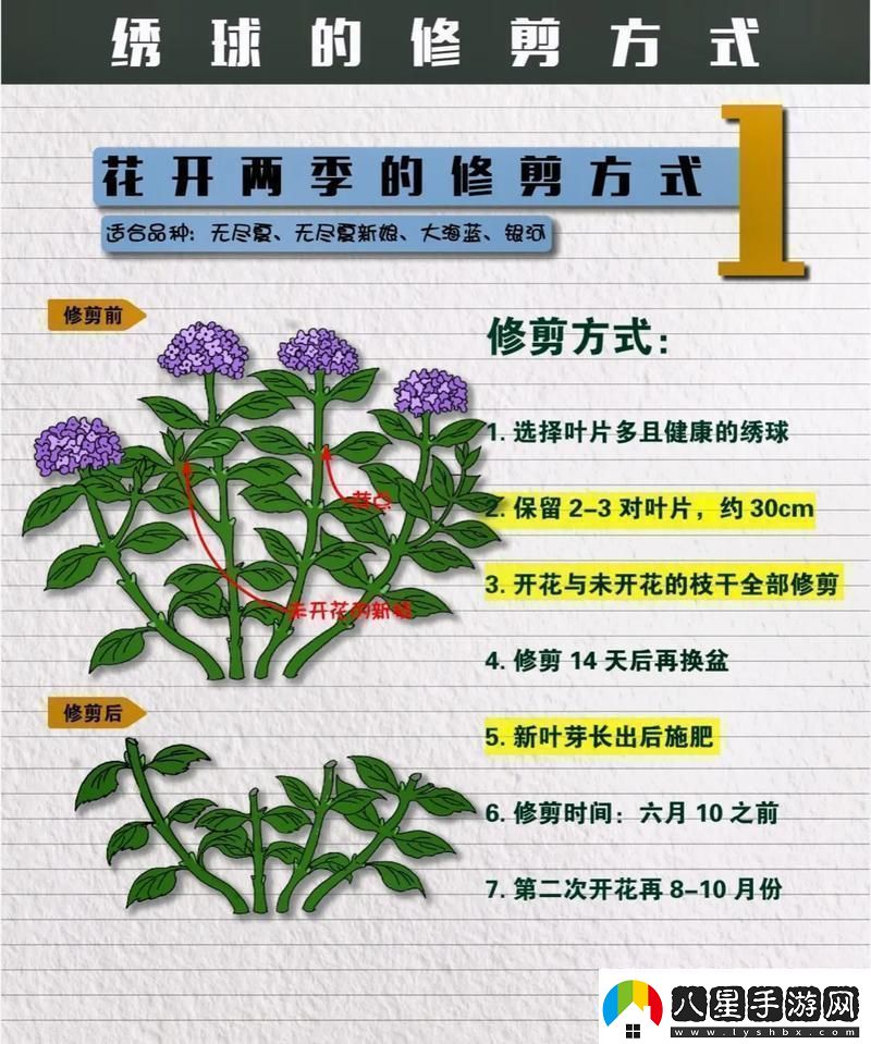 花園之間怎么修剪花草如何修剪花草的正確方法