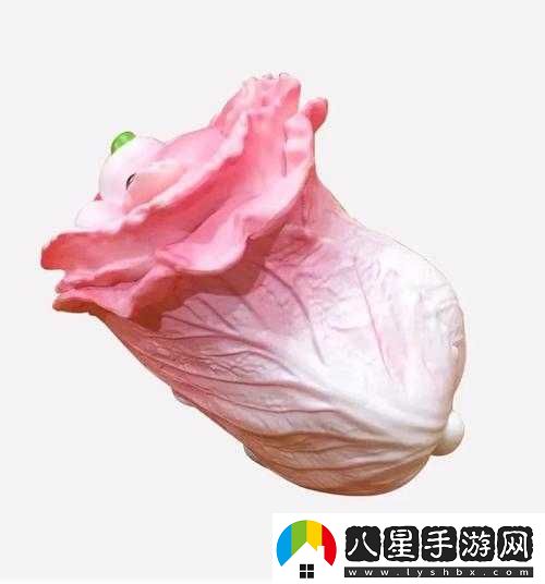 粉紅大白菜法國