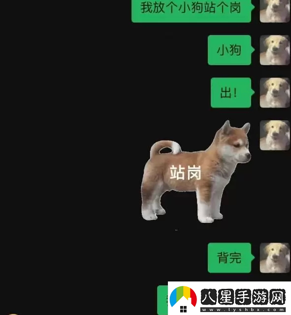 站崗小狗什么梗