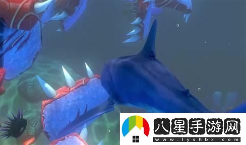 如何駕駛永久雷諾？詳細(xì)技巧與駕駛注意事項(xiàng)分享