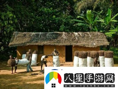 非洲BBOOMBBOOM的獨(dú)特風(fēng)情