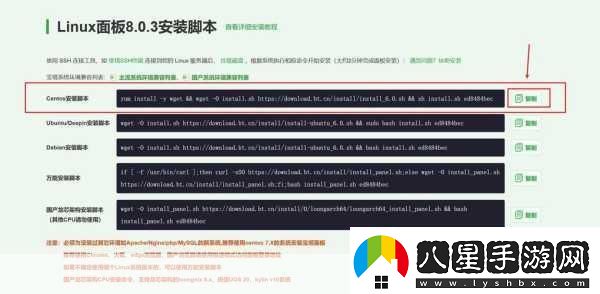 如何使用WEB成品站利用WEB成品站提升品牌曝光率的有效策略