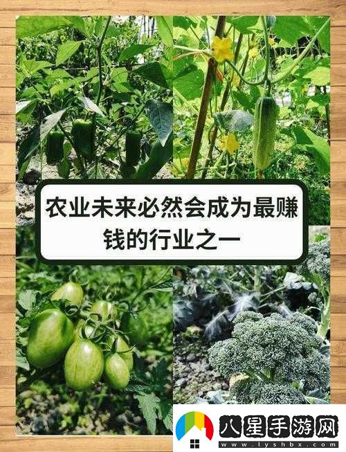 愛情島論壇