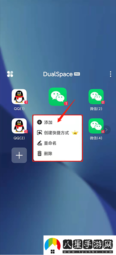 DualSpace