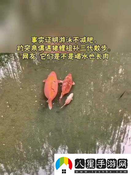 女人鯉魚(yú)喝水