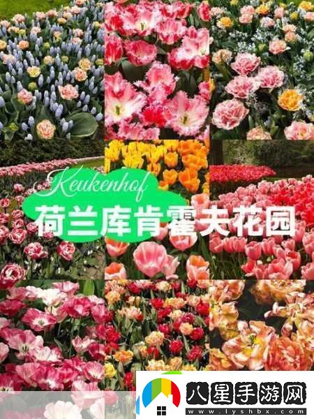 男子肯親花園說明什么