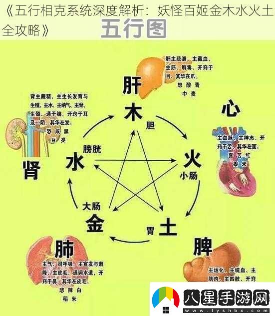 五行相克系統(tǒng)深度解析