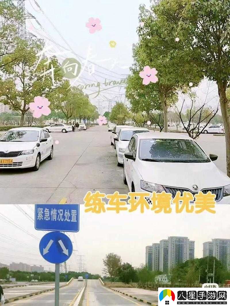 韓萌萌和劉教練練車叫什么名字之練車那些事兒