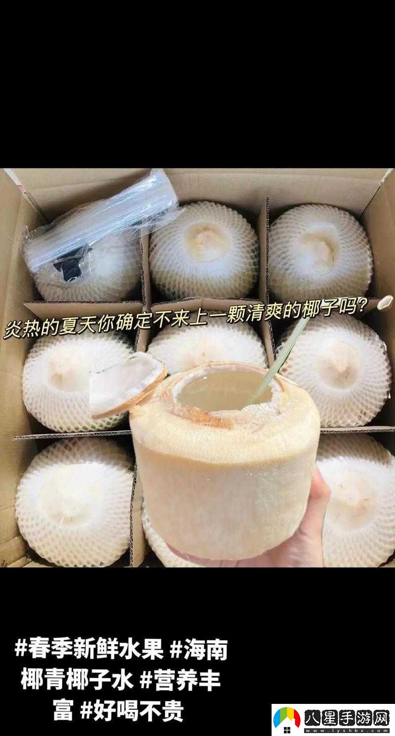 小森生活中椰子的具體用途及水果在游戲內(nèi)的多樣化作用介紹