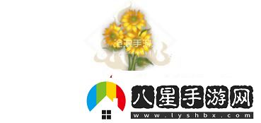 妄想山海朝陽花花束配方介紹