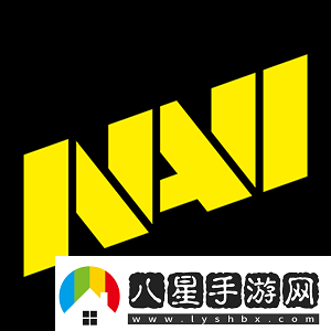 Spirit與NAVI半決賽“文斗”公屏聊天記錄曝光