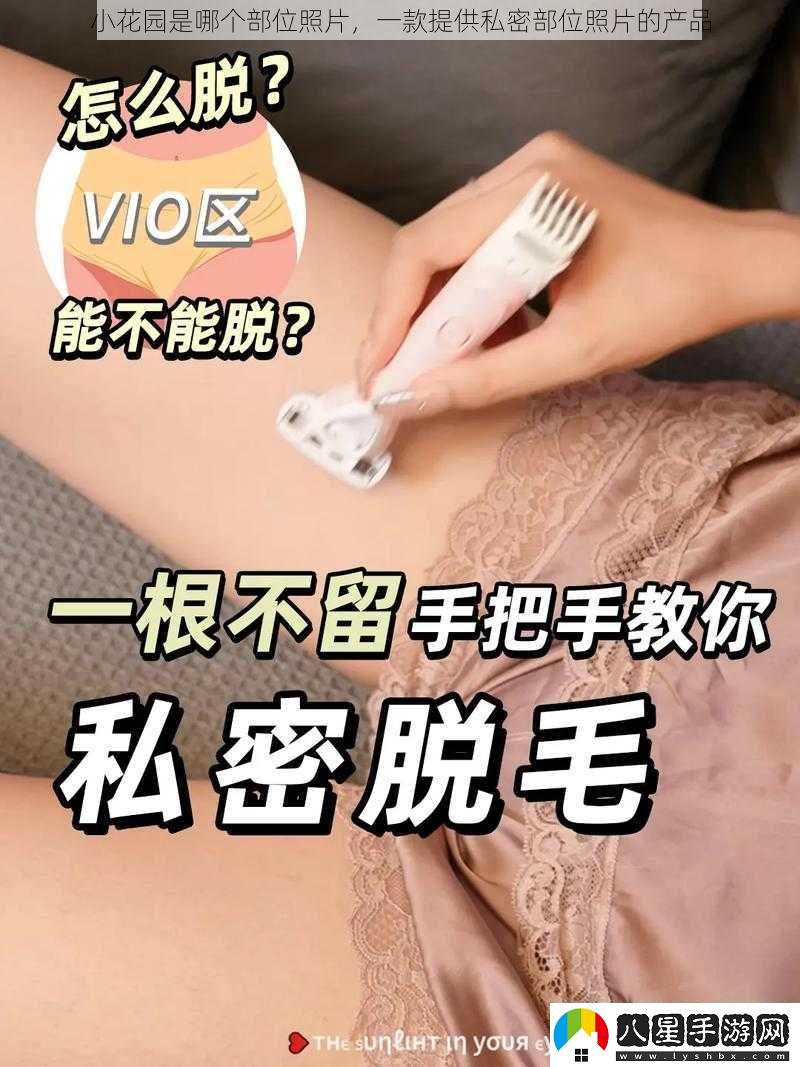 小花園是哪個部位照片