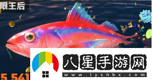 歡樂(lè)釣魚大師雙倍經(jīng)驗(yàn)怎么獲得精力充沛是什么時(shí)候