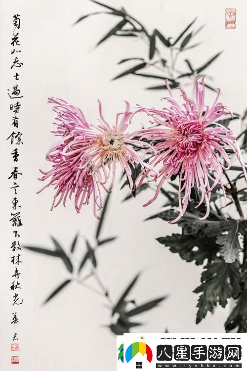 國產(chǎn)做受入口竹菊