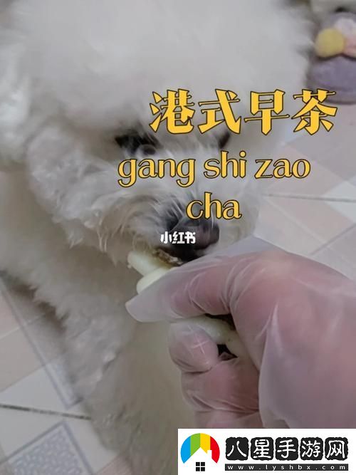 美國人與動物膠配方有幾種