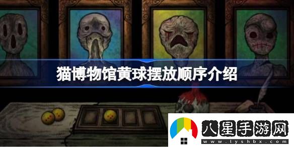 貓博物館黃球擺放順序介紹