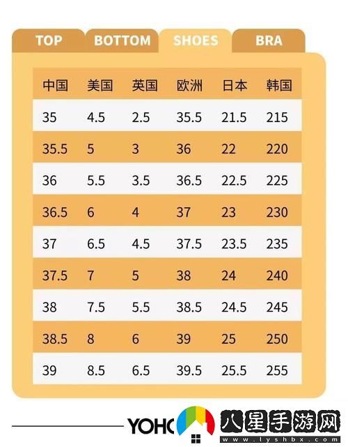 理解歐洲尺碼與日本尺碼的專(zhuān)線年費(fèi)詳情