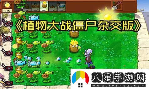 雙點博物館全流程通關視頻攻略