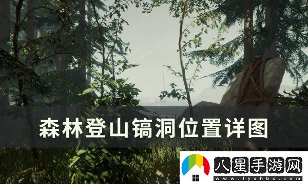 森林登山鎬洞位置詳圖