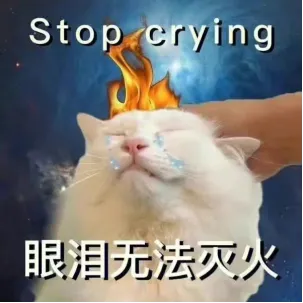 誅仙隊友你好