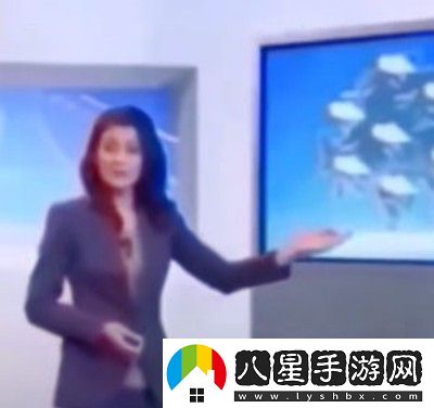 海公牛是什么梗