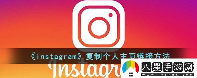 Instagram個(gè)人主頁鏈接復(fù)制教程