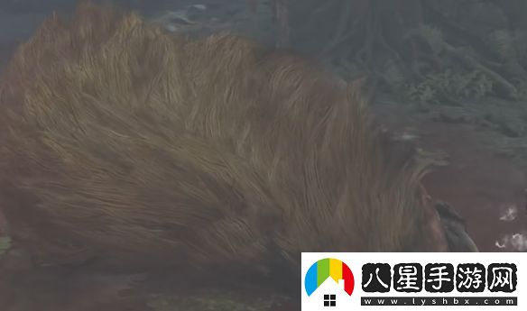 怪物獵人荒野林中辟獸怎么做