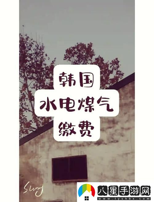 探秘“好看的韓國三色電費(fèi)”