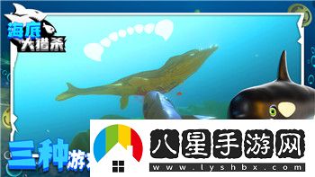 海賊無雙Switch雙人設(shè)置教程