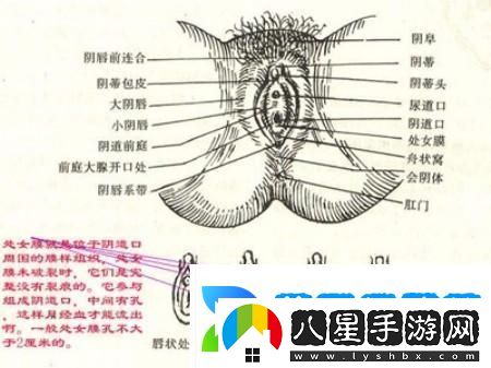 “破解”青春密碼